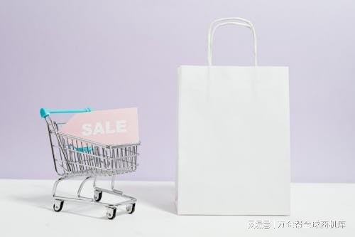 成功之道：案例解析与经验总结j9九游会登录跨境电商独立站(图8)